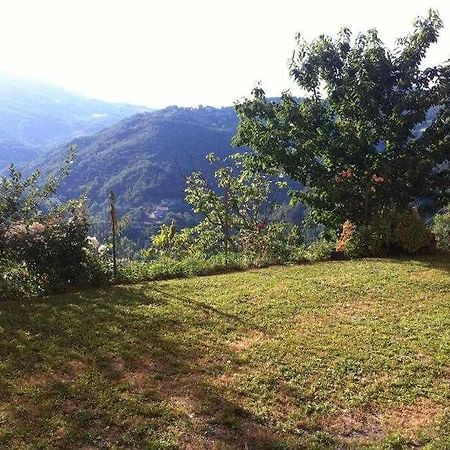 Ospitaci Appartamenti Di Campagna Le Rancole Valtopina Luaran gambar